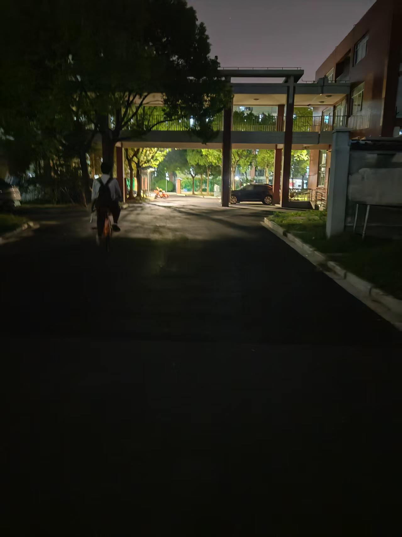 男人村内部向门口方向的夜间道路